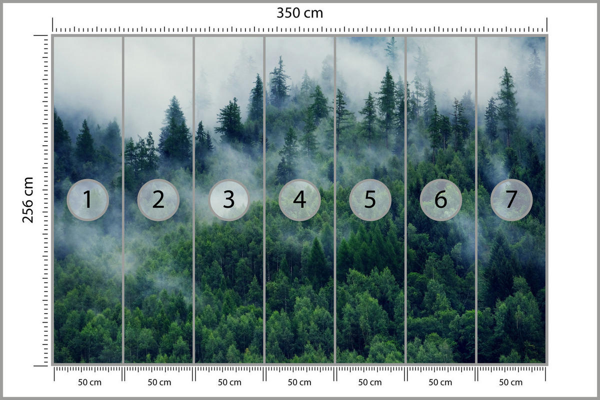 FOTOTAPETE Wald im Nebel Natur Landschaft 3D 350x256 - Grau/Grün, Papier (350/256cm) - Muralo