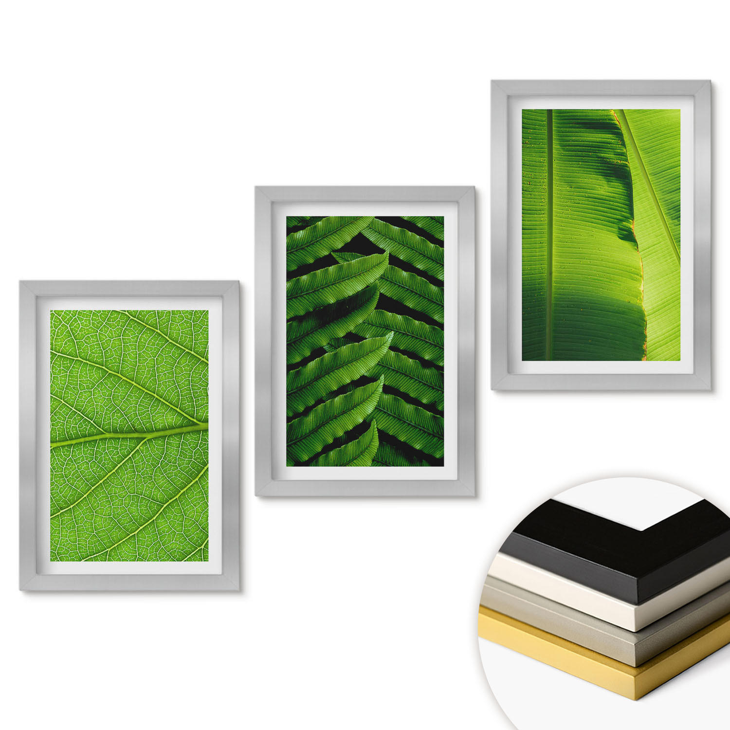 WANDBILDER 3er Set - 20x30 cm Silberner Rahmen - Makrofotografie von tropischen Blättern - Silberfarben, Kunststoff (20/30cm) - ArtPrintCave