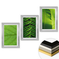 WANDBILDER 3er Set - 20x30 cm Silberner Rahmen - Makrofotografie von tropischen Blättern - Silberfarben, Kunststoff (20/30cm) - ArtPrintCave
