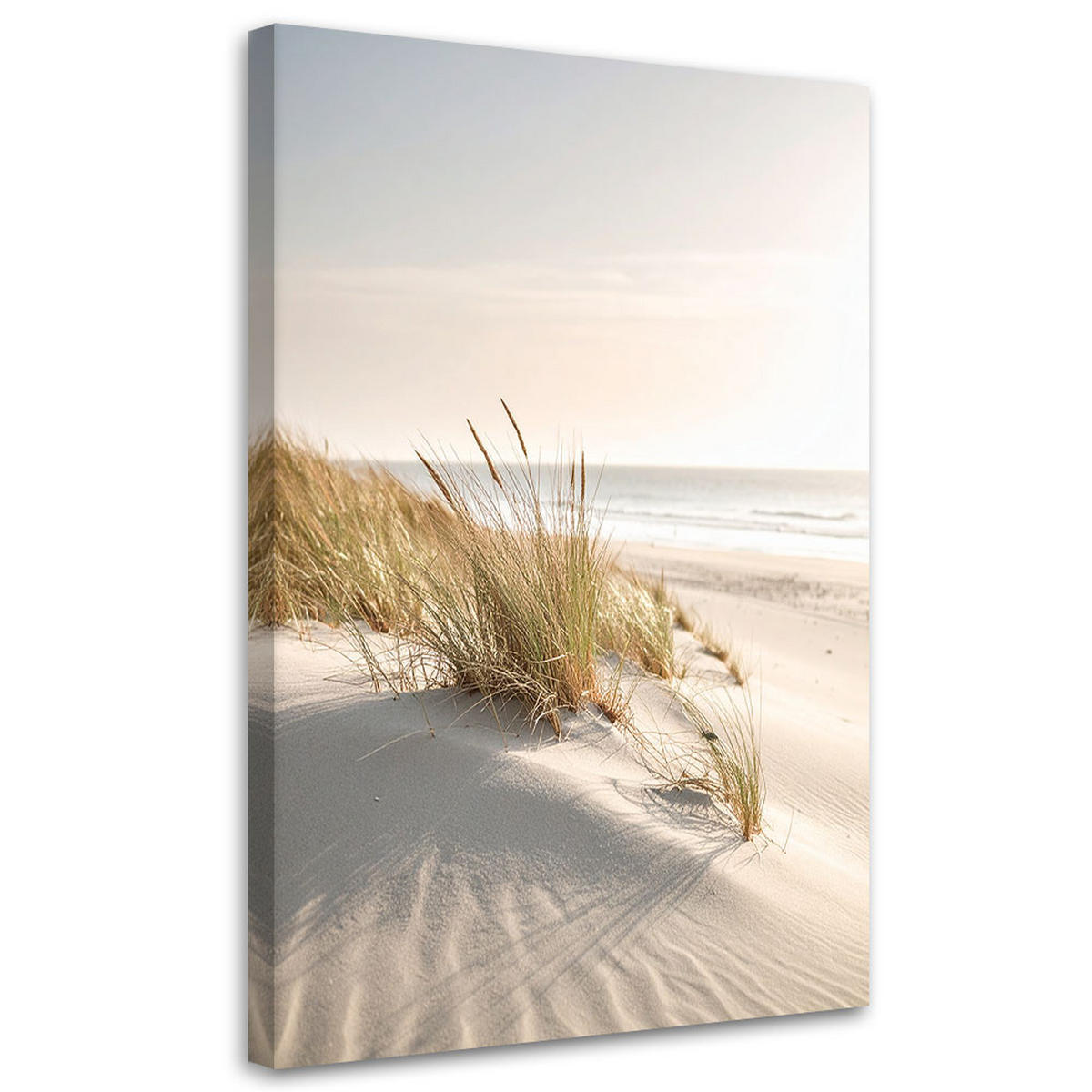 LEINWANDBILD Strand Meer Dünen Natur Pflanzen 80x120cm - Beige, Textil (80/120cm) - Feeby