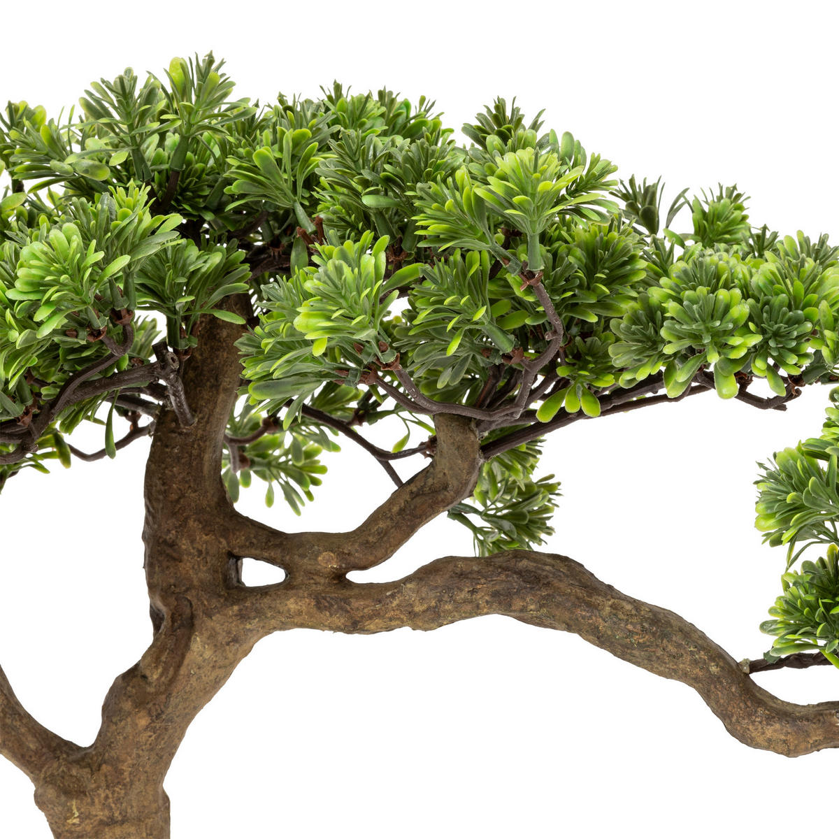 KUNST-BONSAI H Polin 45/32/60 cm - Grün, Kunststoff (60cm) - Atmosphera Createur d´interieur