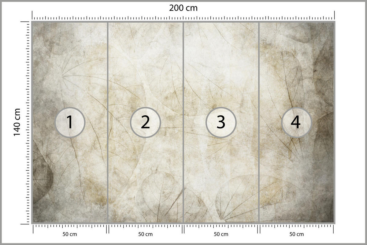 FOTOTAPETE für Wohnzimmer Blätter Beton Abstraktion 200x140 - Beige/Grau, Papier (200/140cm) - Muralo