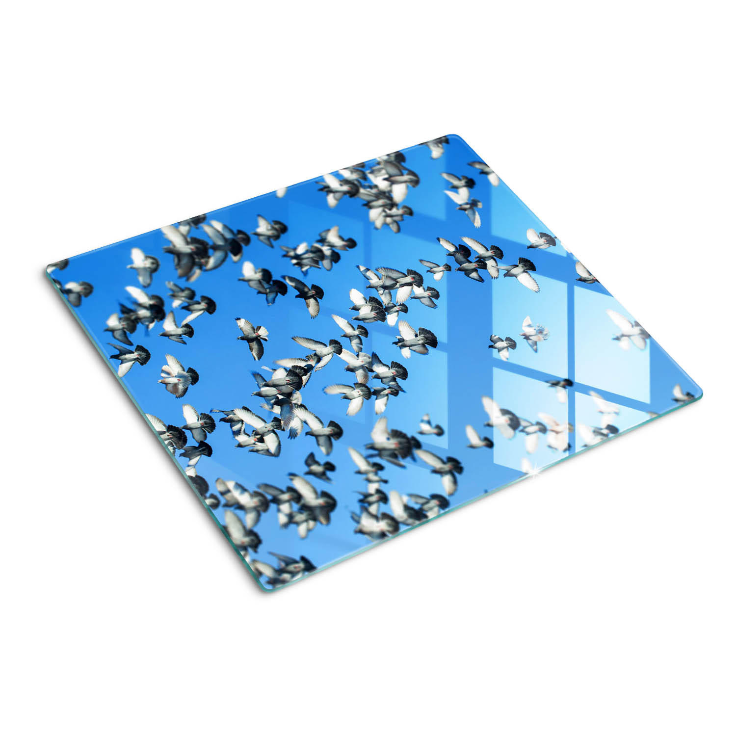 GLASPLATTE 60x52 cm Ein Schwarm Tauben - Weiß, Glas (60/0.4cm) - TULUP