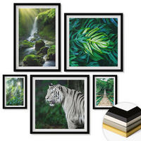 WANDBILDER 5er-Set - 50x50 cm & 20x30 cm & 40x60 cm Schwarzer Rahmen - Dschungel-Weißtiger-Wasserfall - Schwarz, Kunststoff (40/60cm) - ArtPrintCave