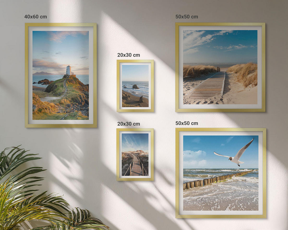 WANDBILDER 5er Set - 50x50 cm & 20x30 cm & 40x60 cm Goldrahmen - Palmen am Meer, blaues Wasser - Goldfarben, Kunststoff (40/60cm) - ArtPrintCave