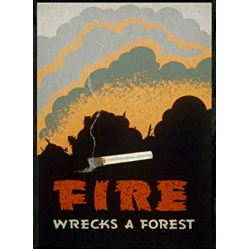 POSTER Feuer Zerstört Den Wald A3 Rahmenlos - Klar, Papier (29.7/5/42cm) - Nacnic