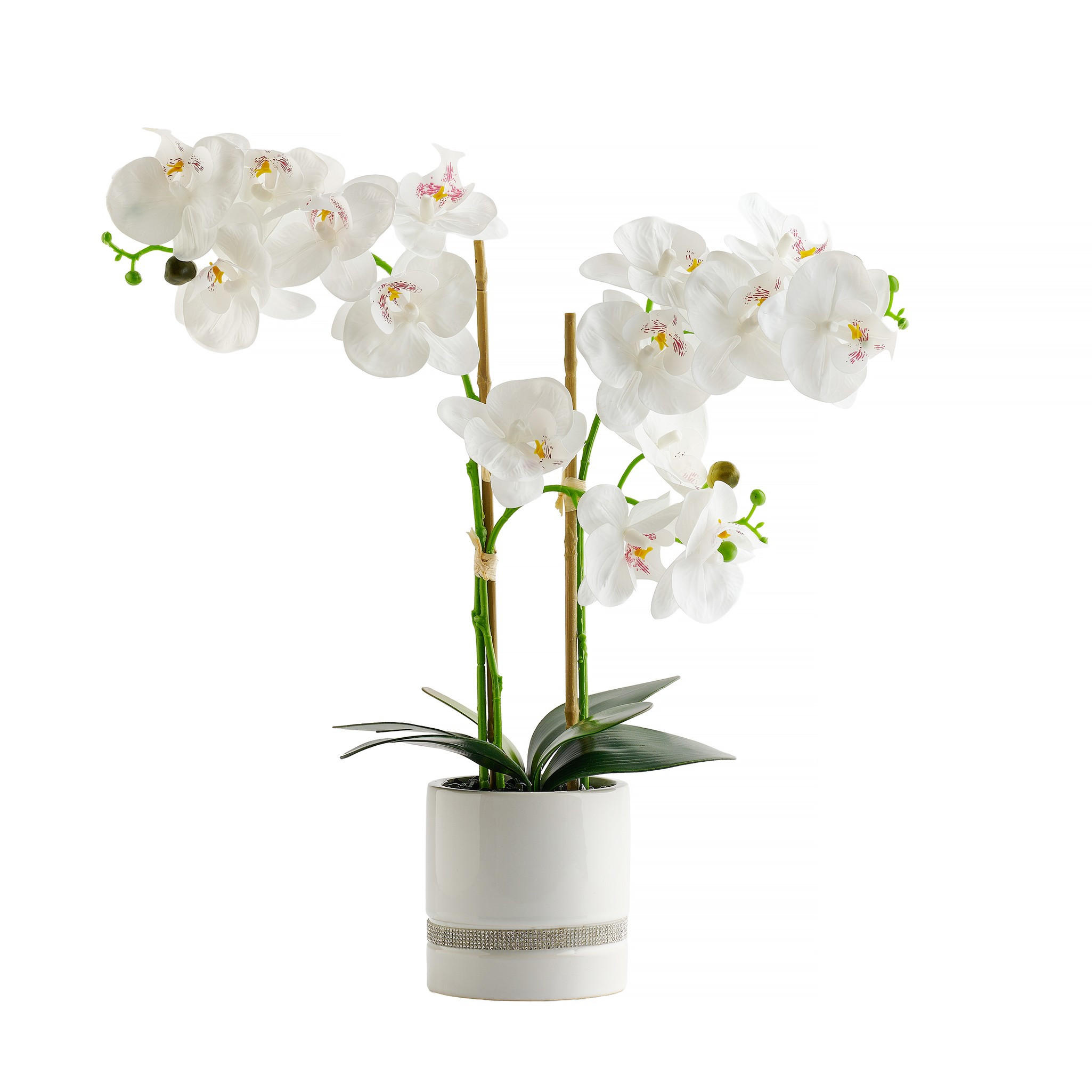 KUNSTPFLANZE Orchibitto new - Weiß, Kunststoff (50cm) - home&you