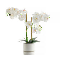 KUNSTPFLANZE Orchibitto new - Weiß, Kunststoff (50cm) - home&you