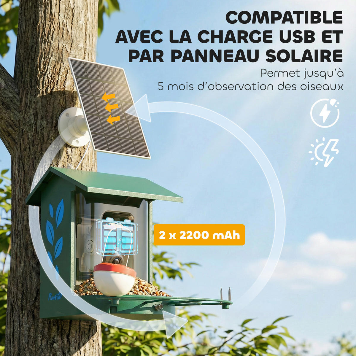 VOGELFUTTERSTATION DE-17848 mit 2K Kamera & Solar Grün - Dunkelgrün, Metall (34.5/26.3/30cm) - ComfortXL
