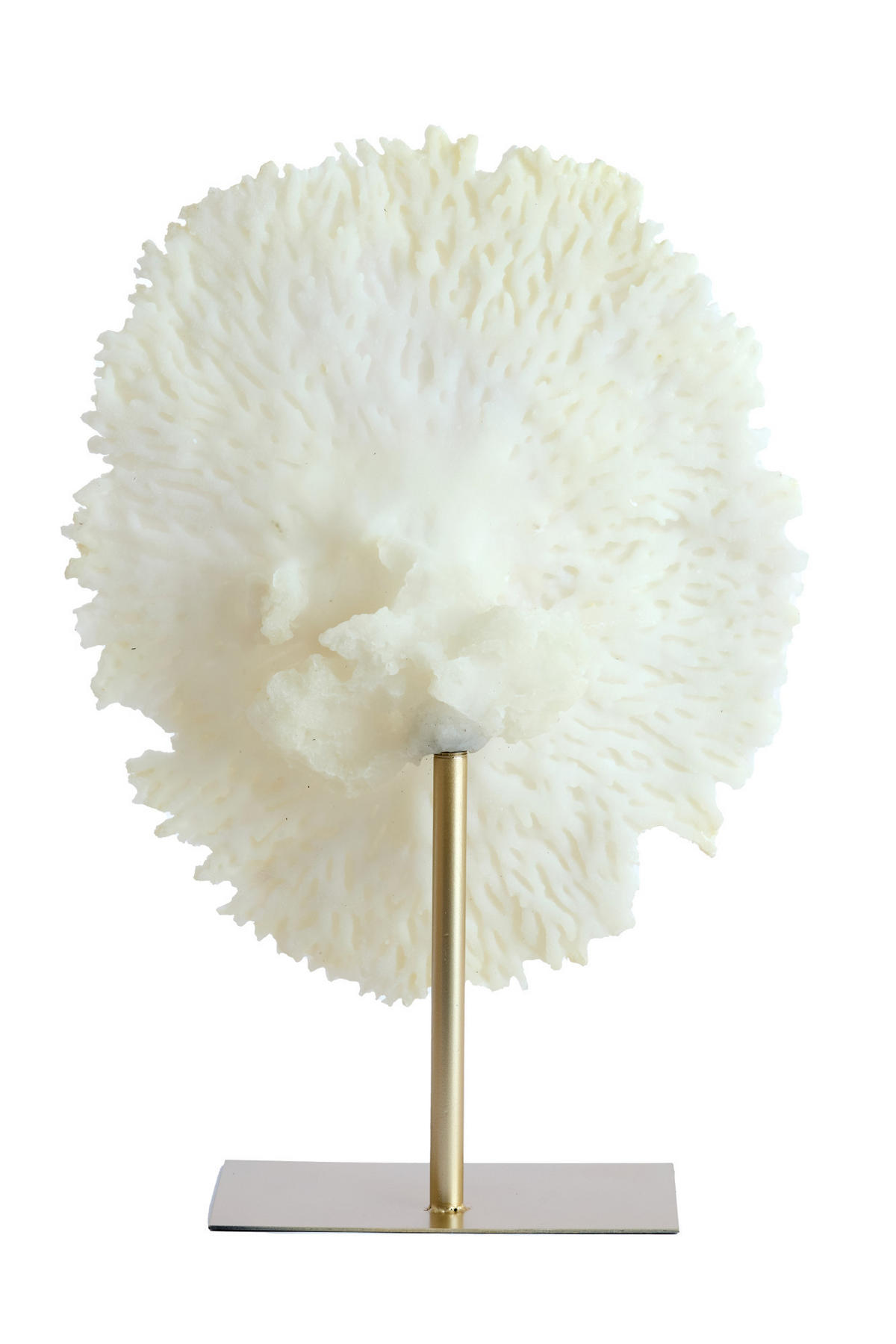 ORNAMENT Koralle Weiß 46/20/69 cm - Weiß, Kunststoff (20/69/46cm) - Light & Living