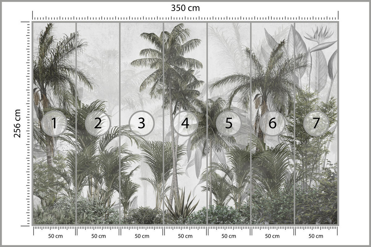 FOTOTAPETE für Wohnzimmer Natur Hohe Palmen Bäume Tropisch 350x256 - Grau/Grün, Papier (350/256cm) - Muralo