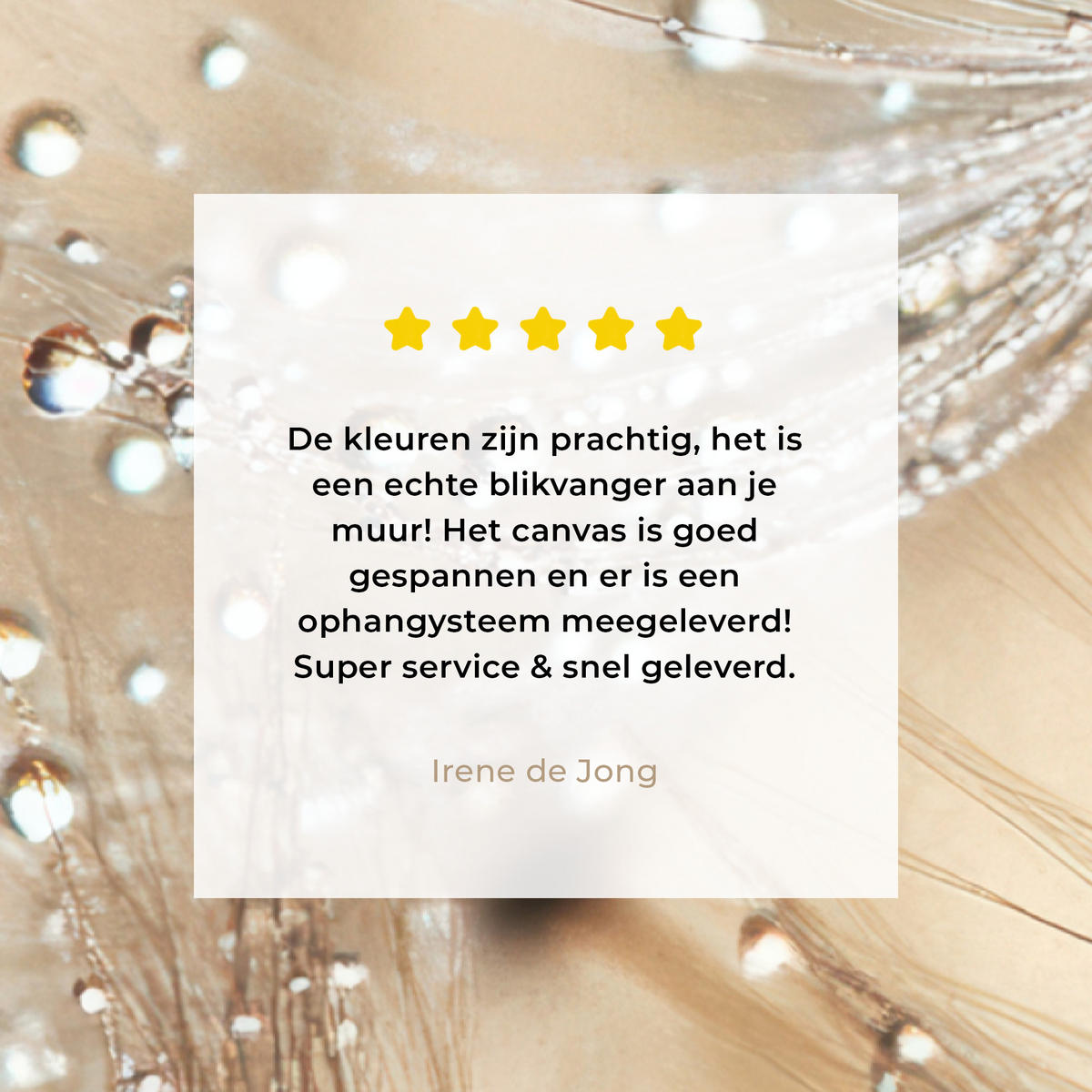 LEINWANDBILD Löwenzahn - Abstrakt - Natur - Beige Wanddeko 40x60 cm - Braun, Textil (40/60cm) - MuchoWow