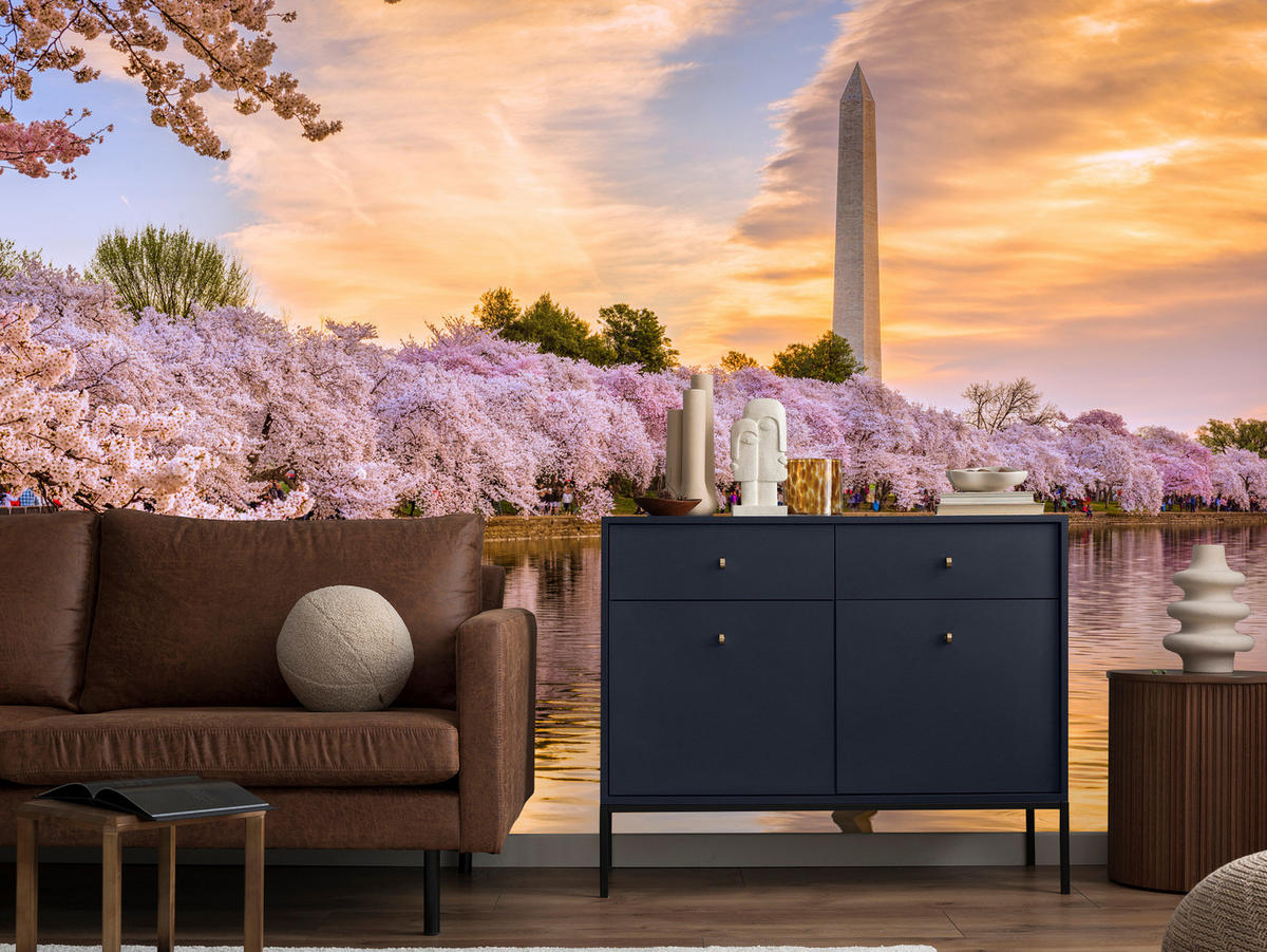 FOTOTAPETE Blühende Kirschbäume Fluss Natur Frühling Sonnenuntergang 400x280 - Blau/Gelb, Papier (400/280cm) - Muralo