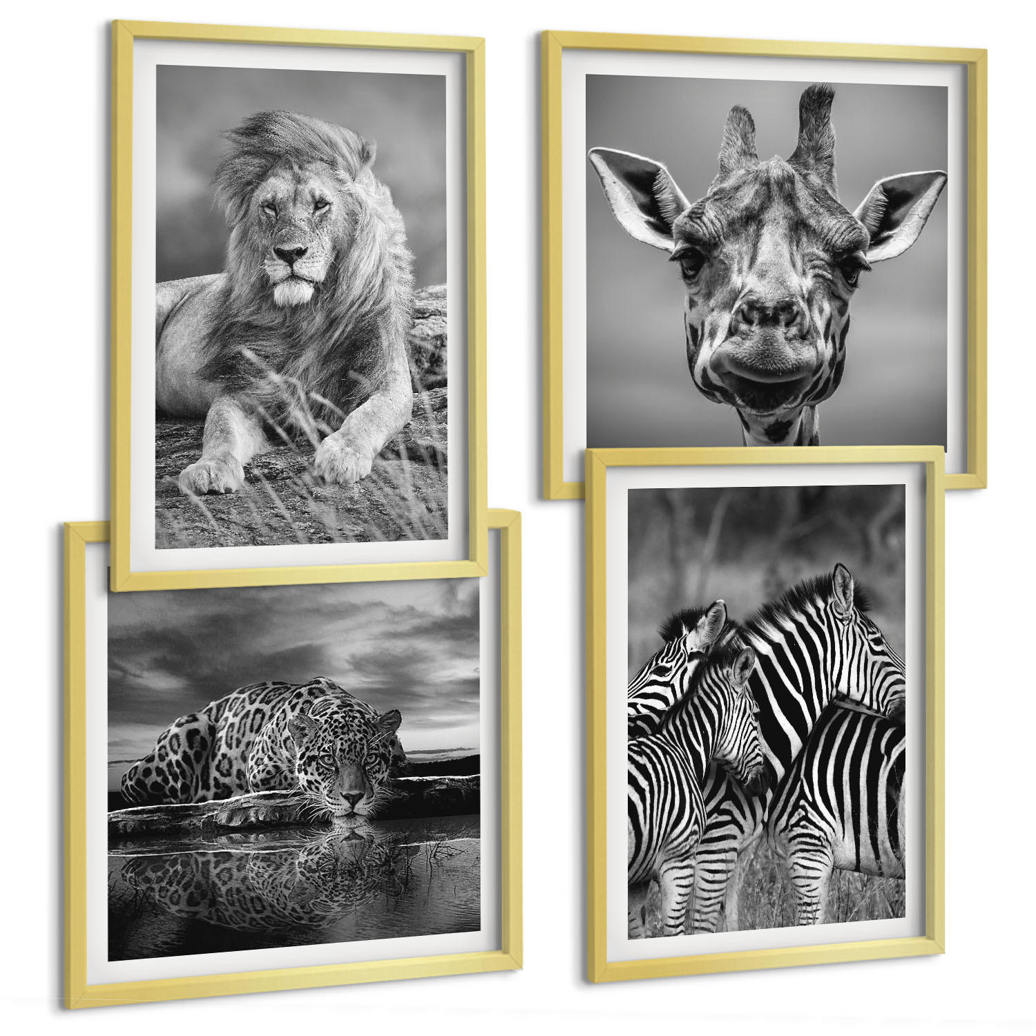 BILDER SET 4er Set - 50x50 cm & 40x60 cm Goldrahmen - Wildtiere Löwe Jaguar Giraffe Zebras - Goldfarben, Kunststoff (50/50cm) - TULUP