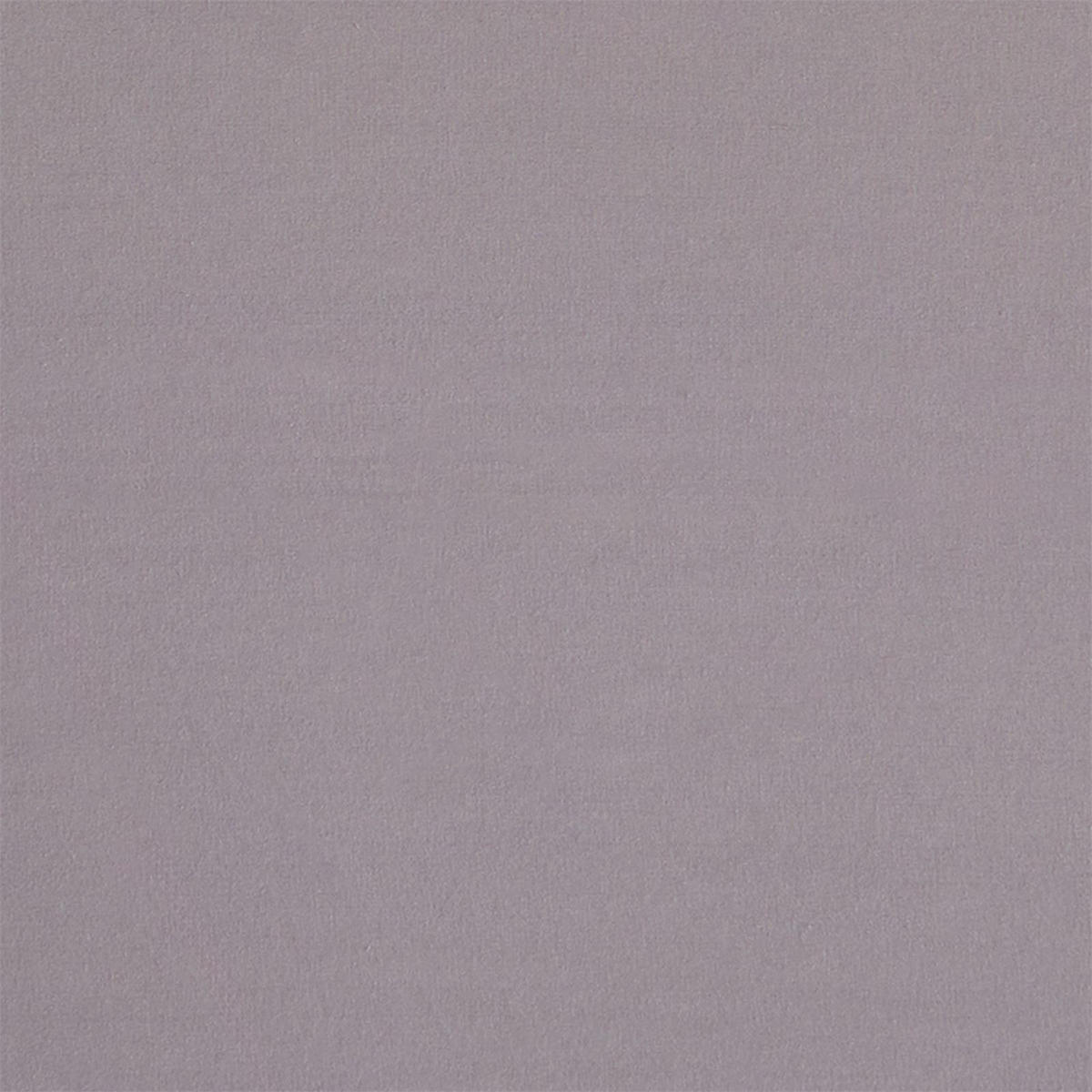 SITZKISSEN AMATA 4ER-SET - Hellgrau, Textil (40/40/3cm) - IDIMEX