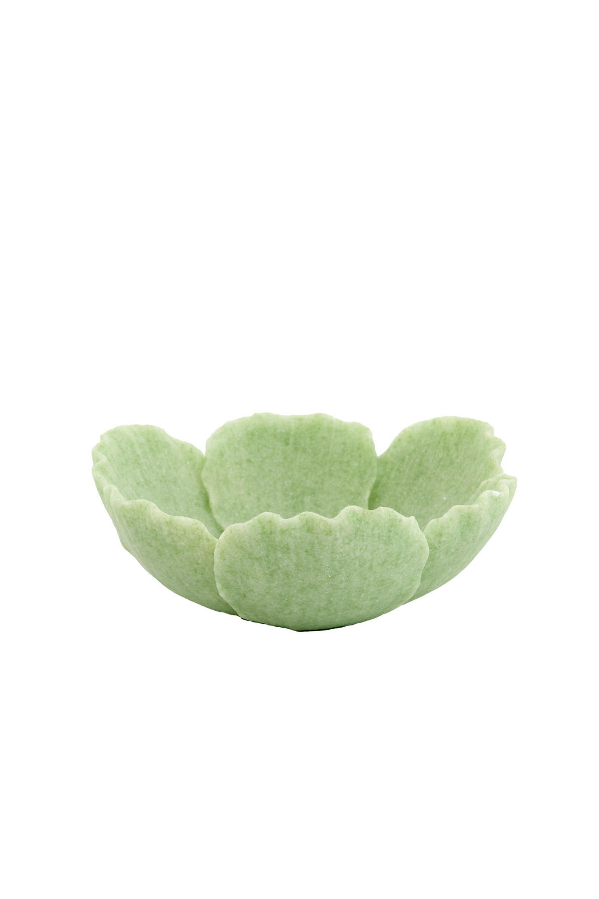 SCHALE Fresia Grün Ø25,5/9,5 cm - Grün, Kunststoff (9.5cm) - Light & Living