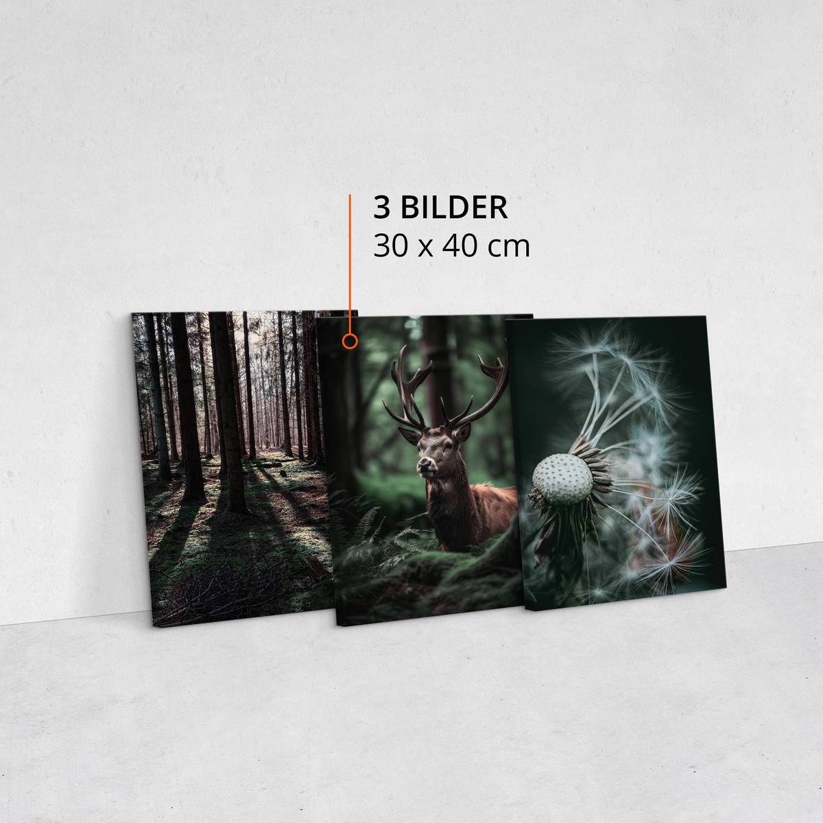 LEINWANDBILDER 3-er Set Wald Hirsch 3D - Schwarz/Weiß, Textil (90/40cm) - Muralo