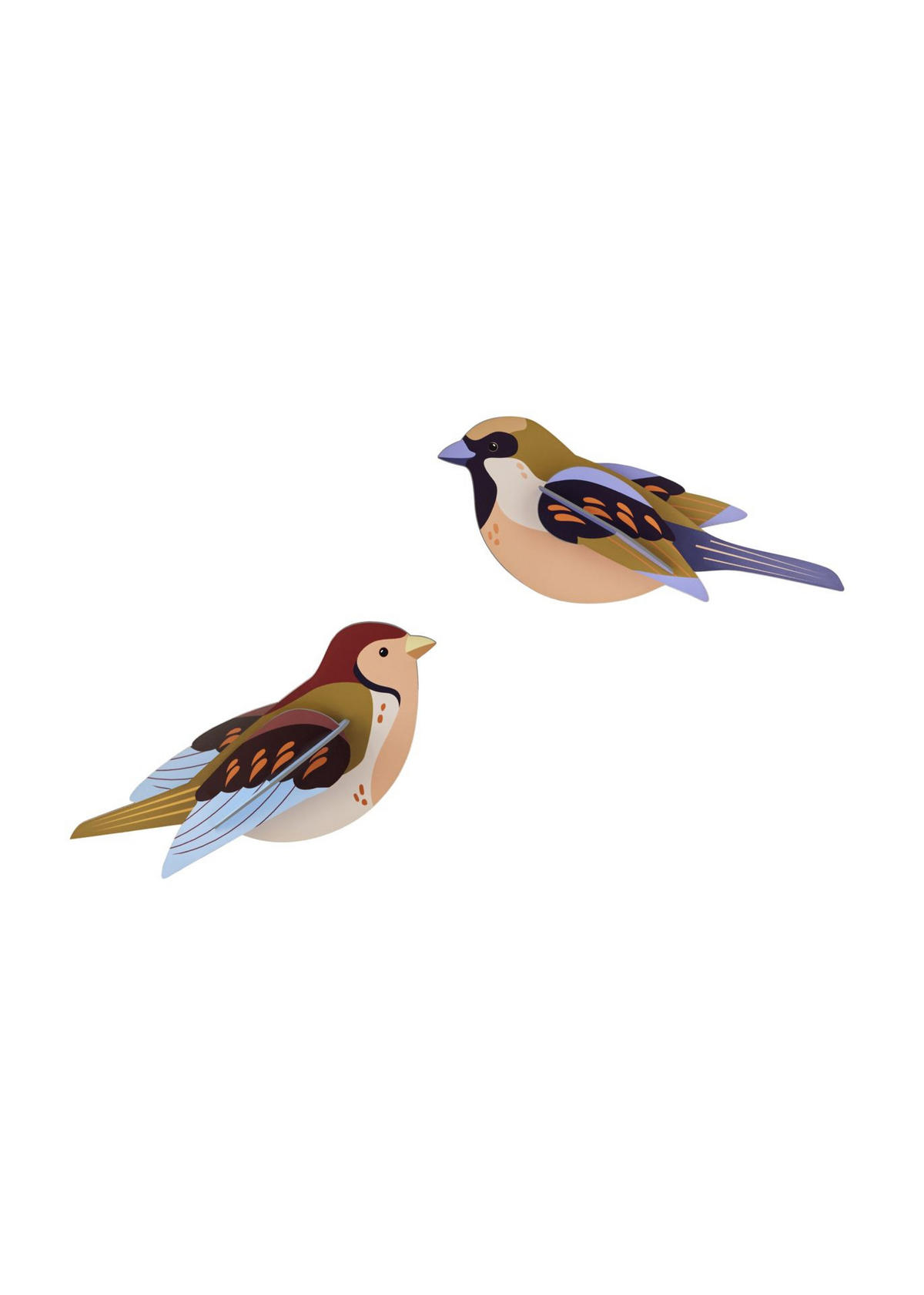 WANDDEKO Spatzen-Duo 4/6.5 cm - Multicolor, Wellpappe (4/6.5/16cm) - KUNSTLOFT