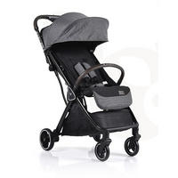 BUGGY easy Fold grau Alu Sonnendach verstellbar, faltbar, Korb - Grau, Metall (89/43/103cm) - Cangaroo