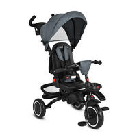 DREIRAD Cruz grau EVA-Reifen, klappbar, Körbe, 360° drehbarer Sitz, Getränkehalter - Grau, Metall (100/54/104cm)