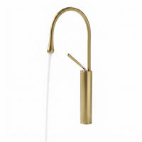 KÜCHENARMATUR, 450 x 210 mm, gold - Goldfarben, Metall (49/7/26cm) - Vallsero