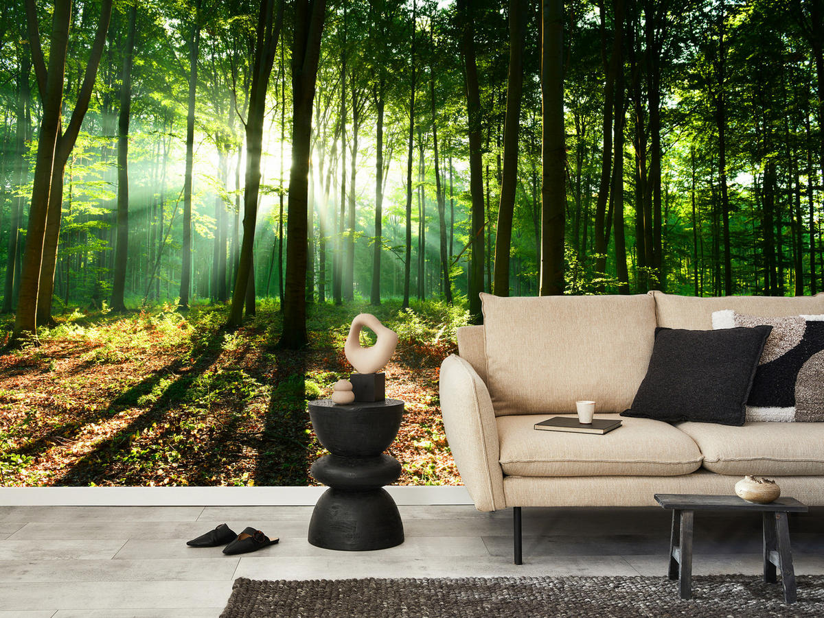 FOTOTAPETE für Wohnzimmer Sonnenstrahlen Wald Bäume Blätter 250x175 - Beige/Braun, Papier (250/175cm) - Muralo