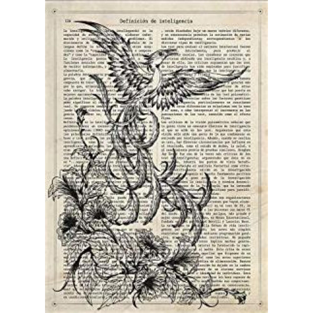 POSTER Fenix Schwarz Und Weiß A4 Schwarzer Rahmen - Schwarz, Papier (29.7/5/21cm) - Nacnic