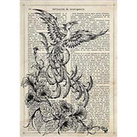 POSTER Fenix Schwarz Und Weiß A4 Schwarzer Rahmen - Schwarz, Papier (29.7/5/21cm) - Nacnic