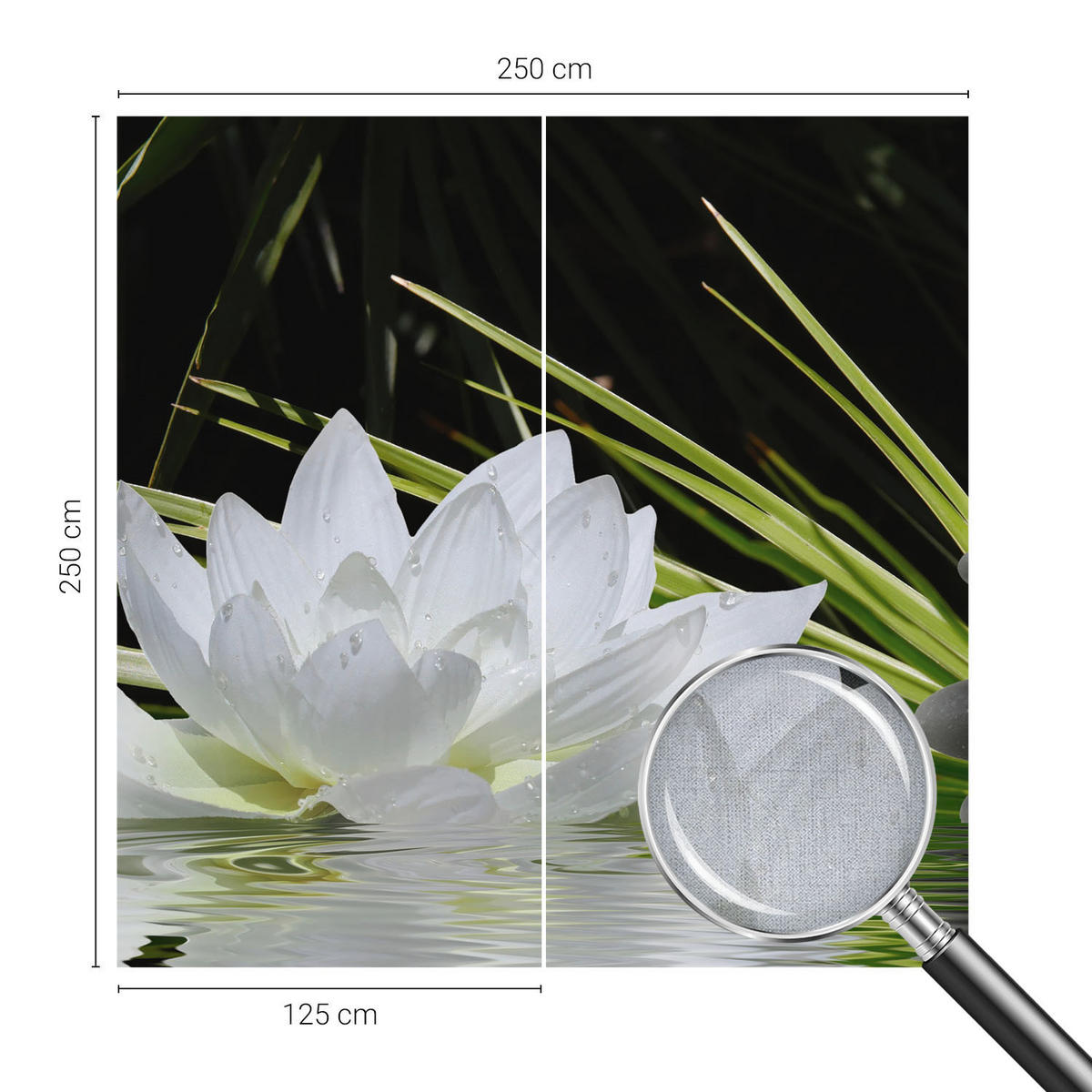 FOTOTAPETE 250x250 cm - Lilienmeditation - Weiß, Textil (250/250cm) - Wallfluent