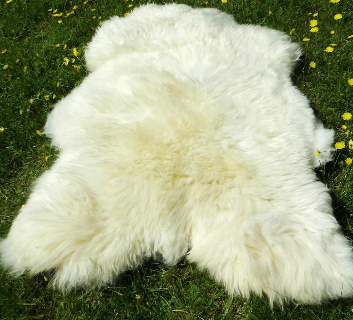 SCHAFFELL Öko Naturweiß Typ Eisbär 140 cm XXL - Weiß, Fell (70/140cm) - Provellus