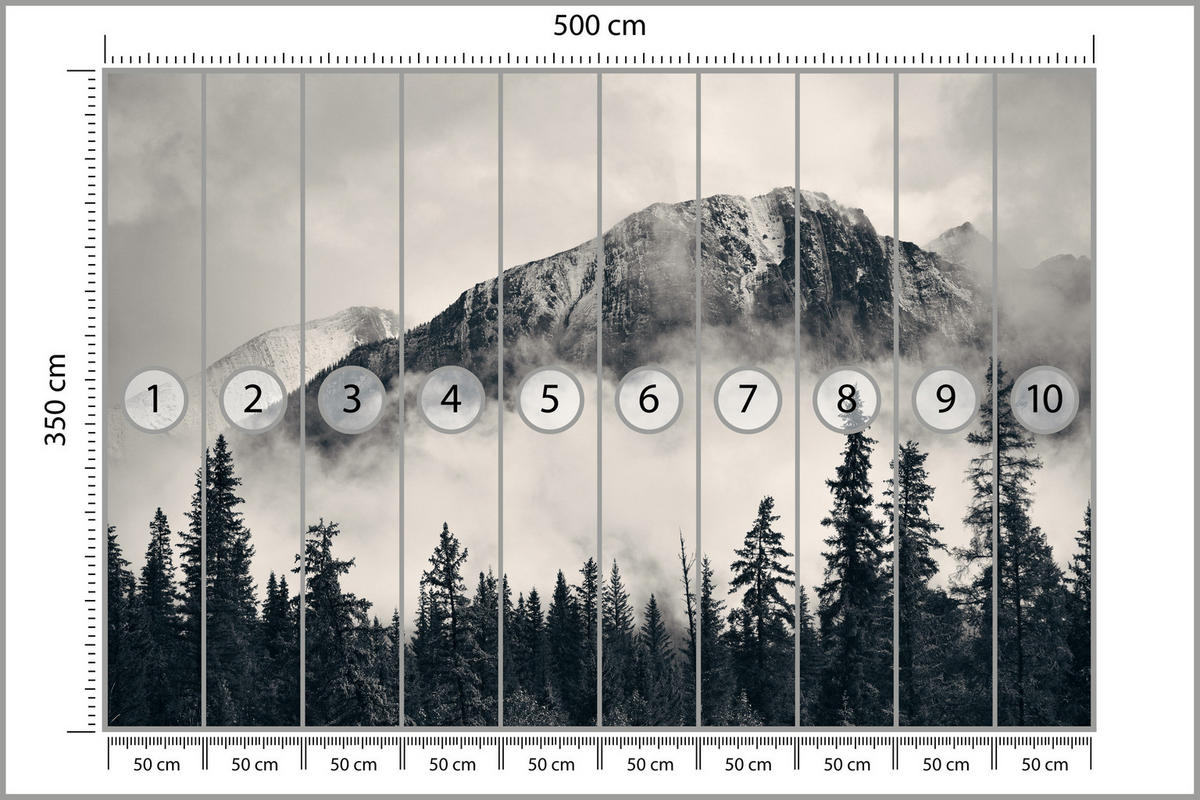 FOTOTAPETA Pre Obývaciu Izbu Ihličnatý Les V Hmle V Pozadí Hory 500 x 350 cm - čierna/sivá, papier (500/350cm) - Muralo