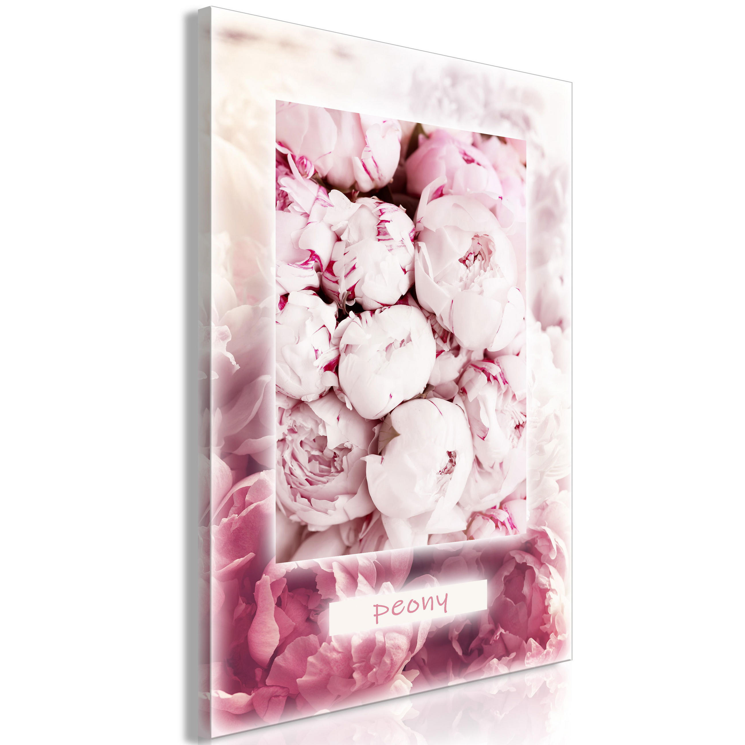 KUNSTDRUCK Rosa 40/60 cm - Pink/Weiß, Textil (40/60cm) - KUNSTLOFT