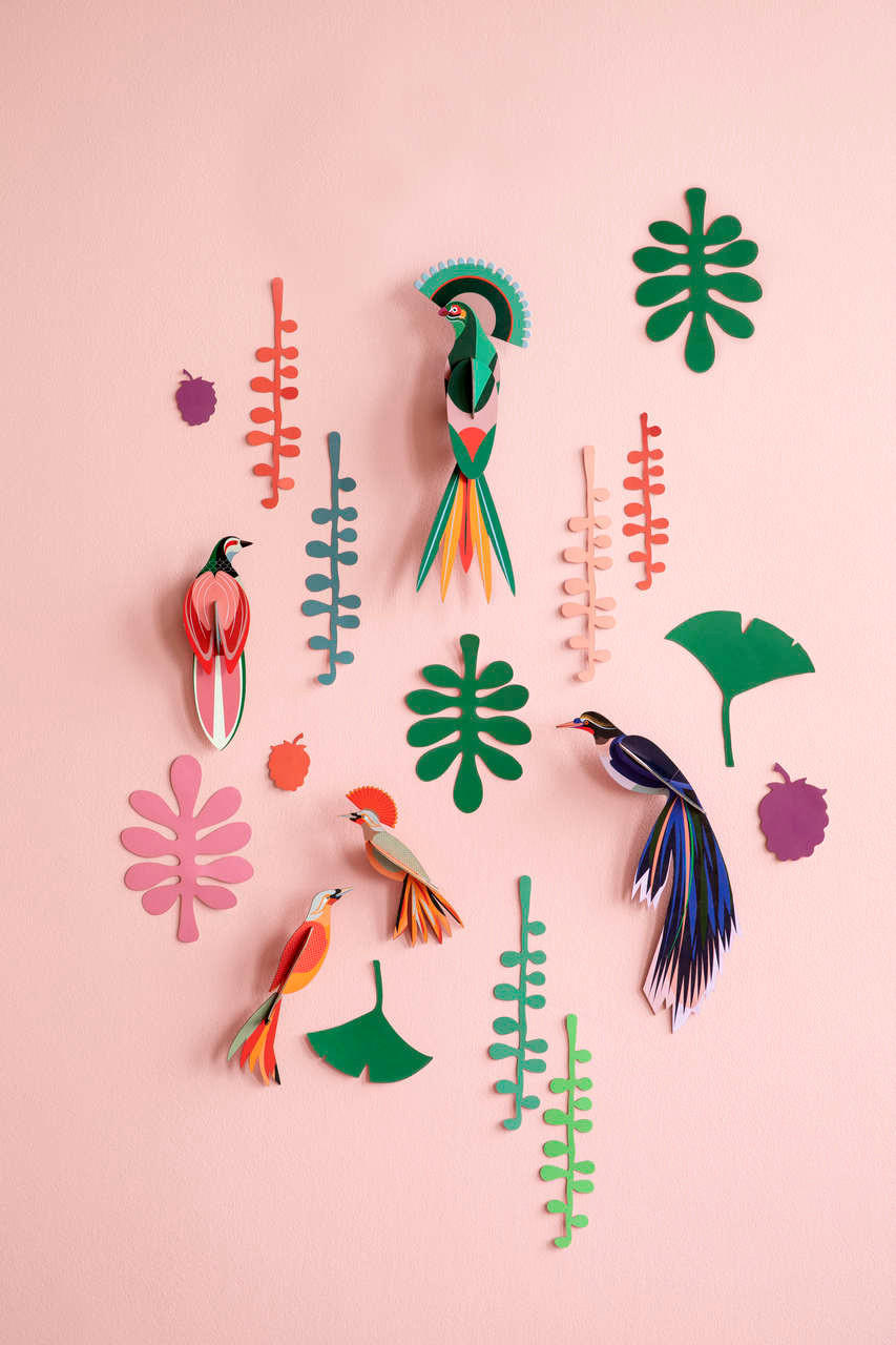 WANDDEKO Vogel-Set 20/5 cm - Multicolor/Grün, Wellpappe (20/5/36cm) - KUNSTLOFT