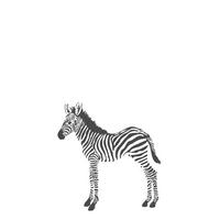 FOTOTAPETE Zebras 150 x 279 cm - Schwarz, Papier (150/279cm) - Origin Wallcoverings