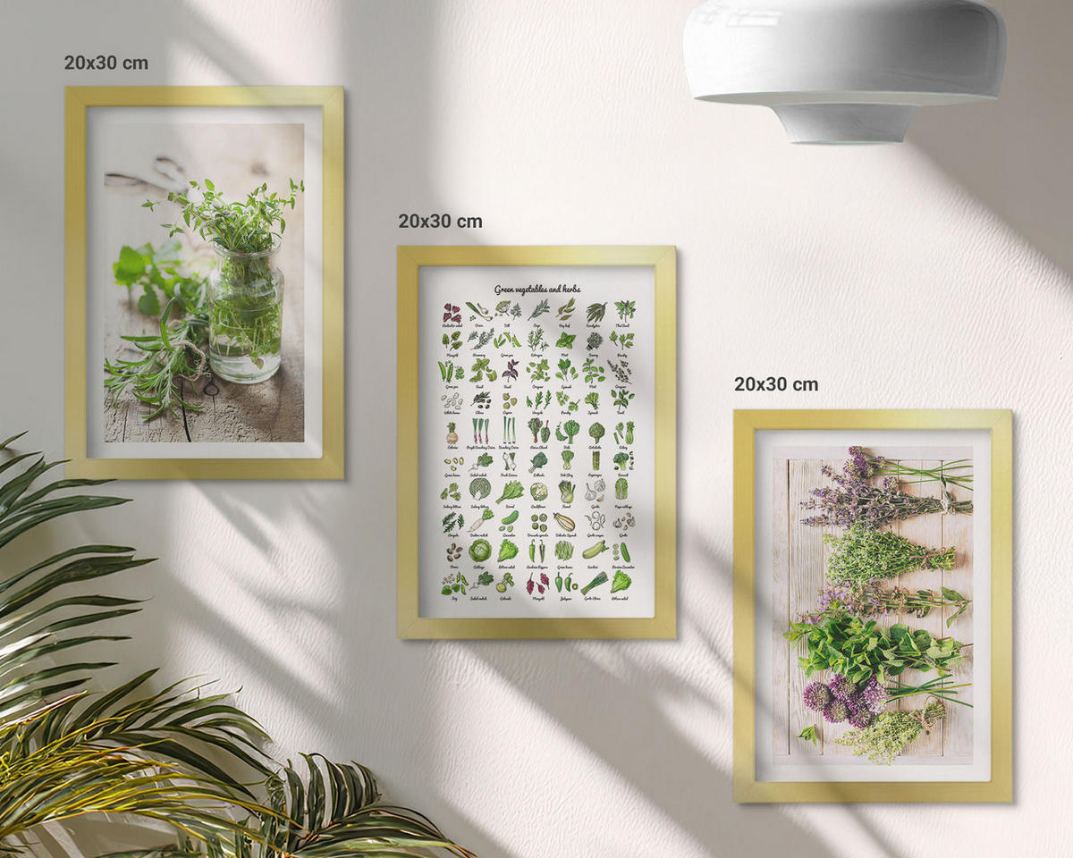 WANDBILDER 3er Set - 20x30 cm Goldrahmen - Getrocknete Kräuter für die Küche - Goldfarben, Kunststoff (20/30cm) - ArtPrintCave