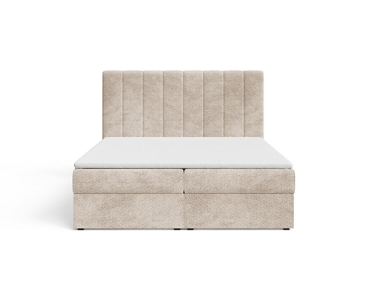 BOXBETT 01 180 x 200 cm - Arena – Stilvoll und bequem Mit Bettkasten, PU-Topper, Federmechanismus, waschbarer Bezug - Beige, Holz (180/200cm) - ROYAL24_MARKT