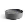 BLUMENTOPFUNTERSETZER mit Rädern 28,7/28,7/8,3 cm Grau - Grau, Kunststoff (28.7/8.3cm) - Ecopots