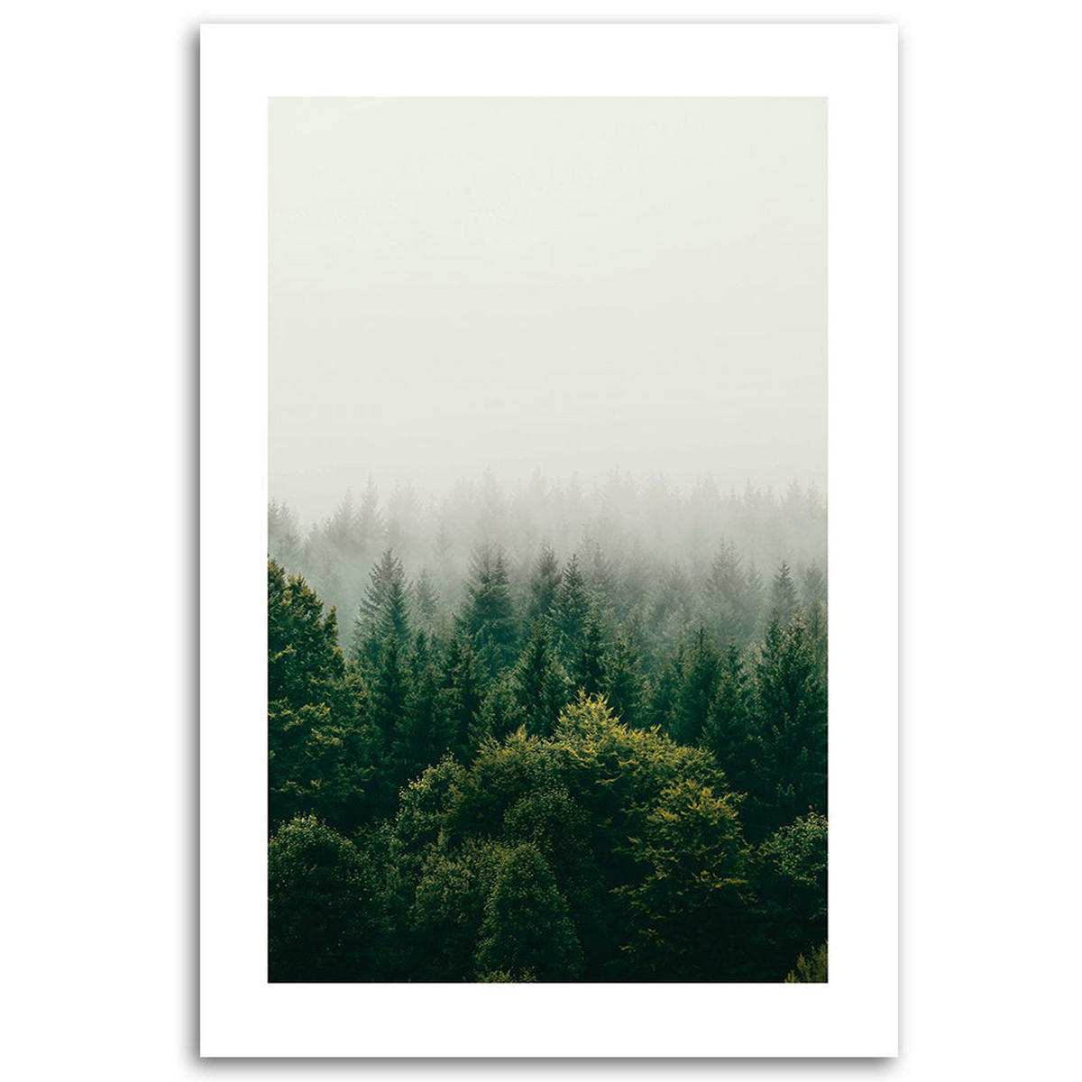 KUNSTDRUCK Grün 40/60 cm - Grün, Textil (40/60cm) - KUNSTLOFT