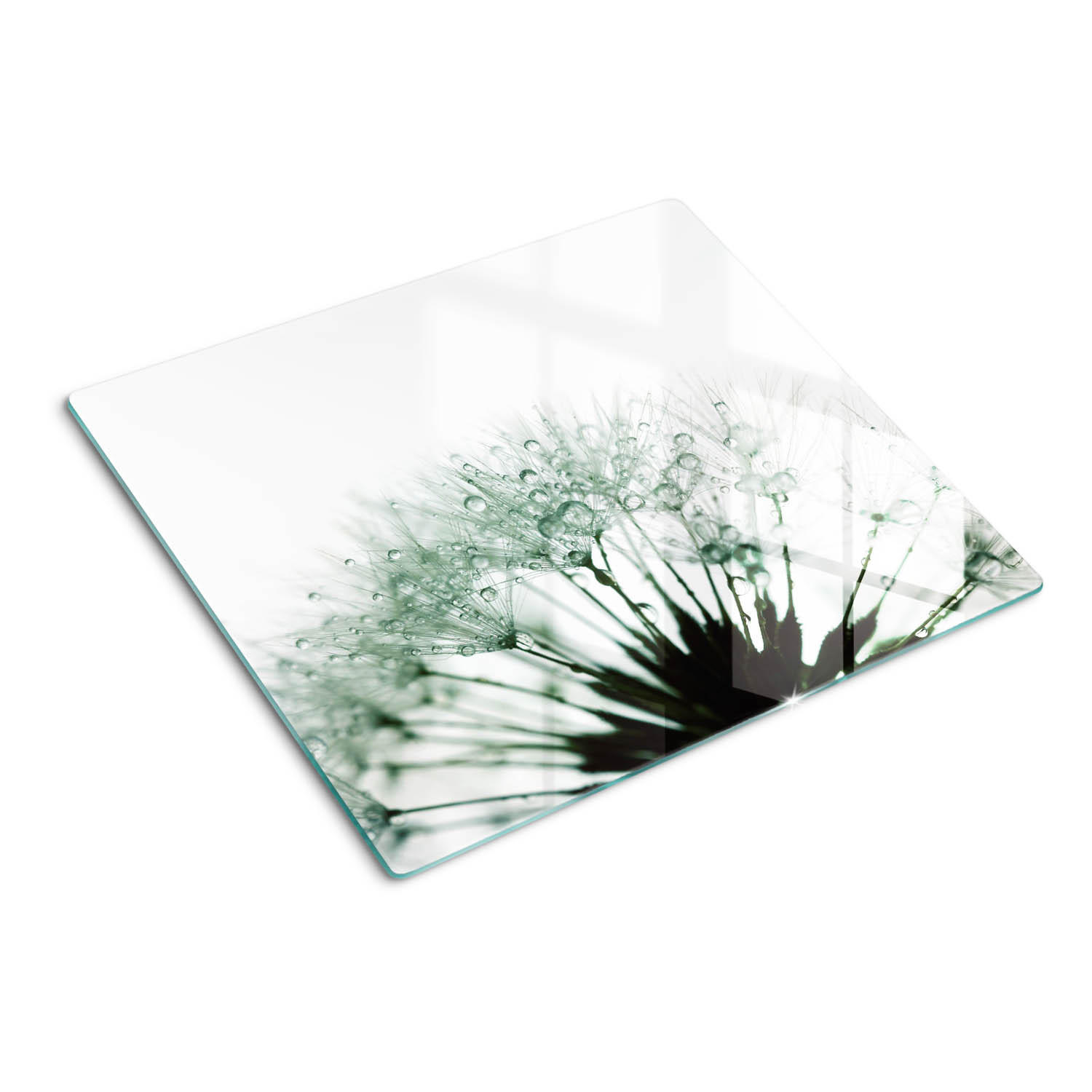 GLASPLATTE 60x52 cm Löwenzahn - Weiß, Glas (60/0.4/52cm) - TULUP
