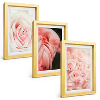 BILDER SET 3er Set - 20x30 cm Goldrahmen - Zartrosa Flamingos - Goldfarben, Kunststoff (20/30cm) - TULUP