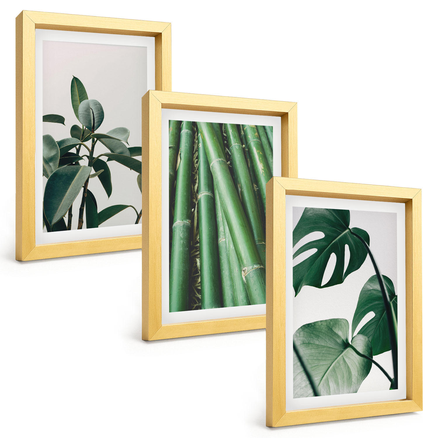 BILDER SET 3er Set - 20x30 cm Goldrahmen - Bambusstängel und Monstera-Blätter - Goldfarben, Kunststoff (20/30cm) - TULUP