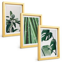 BILDER SET 3er Set - 20x30 cm Goldrahmen - Bambusstängel und Monstera-Blätter - Goldfarben, Kunststoff (20/30cm) - TULUP