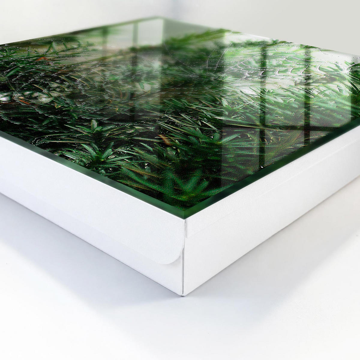 SCHLÜSSELBOX Weiß 30x30 cm – Türöffnung nach rechts - Spinnennetz im Wald - Grün, Metall (30/30/5cm) - TULUP