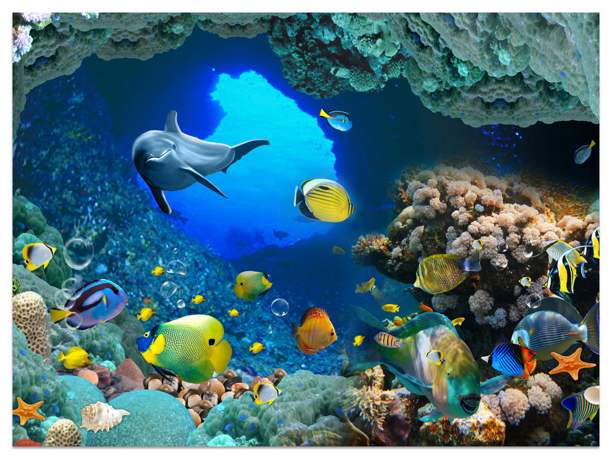 FOTOTAPETE für Badezimmer Unterwasser Korallenriffe Fische 250x175 - Türkis/Blau, Papier (250/175cm) - Muralo