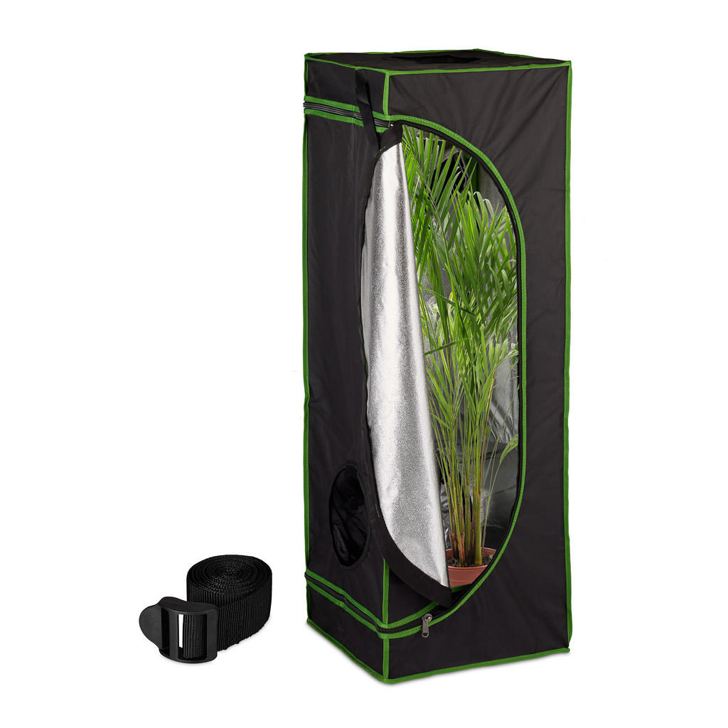 CORT Negru Verde pentru cultivare în interior