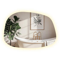 LED SPIEGEL 90,9 x 66 cm Unregelmäßige Form Neutralweiß 4000K - Transparent, Glas (90.9/66/0.4cm) - TULUP
