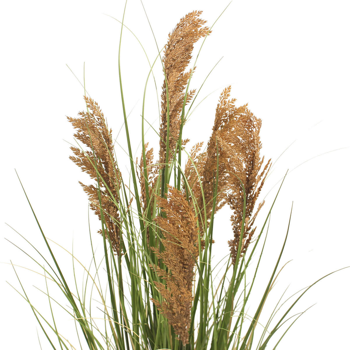 KÜNSTLICHE Pampasgras 70/70/120 cm - Grün, Kunststoff (120cm) - Mobili Rebecca