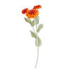 KUNSTBLUME Florista Zinnia - Orange, Kunststoff (50cm) - Butlers