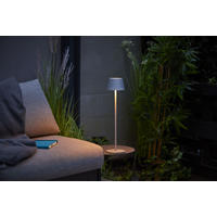 3IN1-LED-TISCHLAMPE - vielseitige Flaschenleuchte mit Dimmfunktion und Akku für Innen und Außen - Silberfarben, Metall (15/15/45cm) - Northpoint