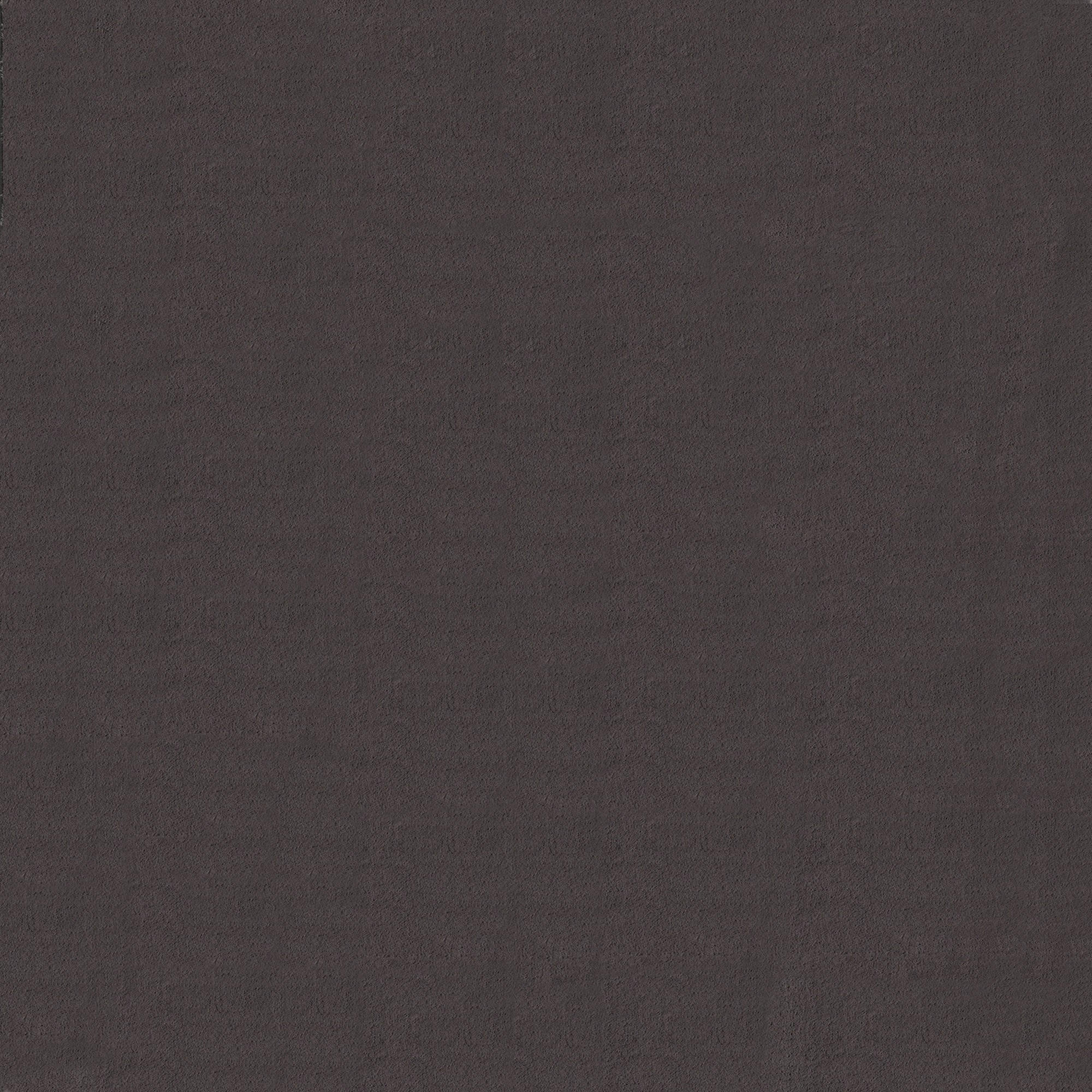 KURZFLORTEPPICH Antirutsch Uni RUTOR Polyester Anthrazit 160 x 220 cm - Anthrazit, Textil (160/220cm) - KADIMA DESIGN